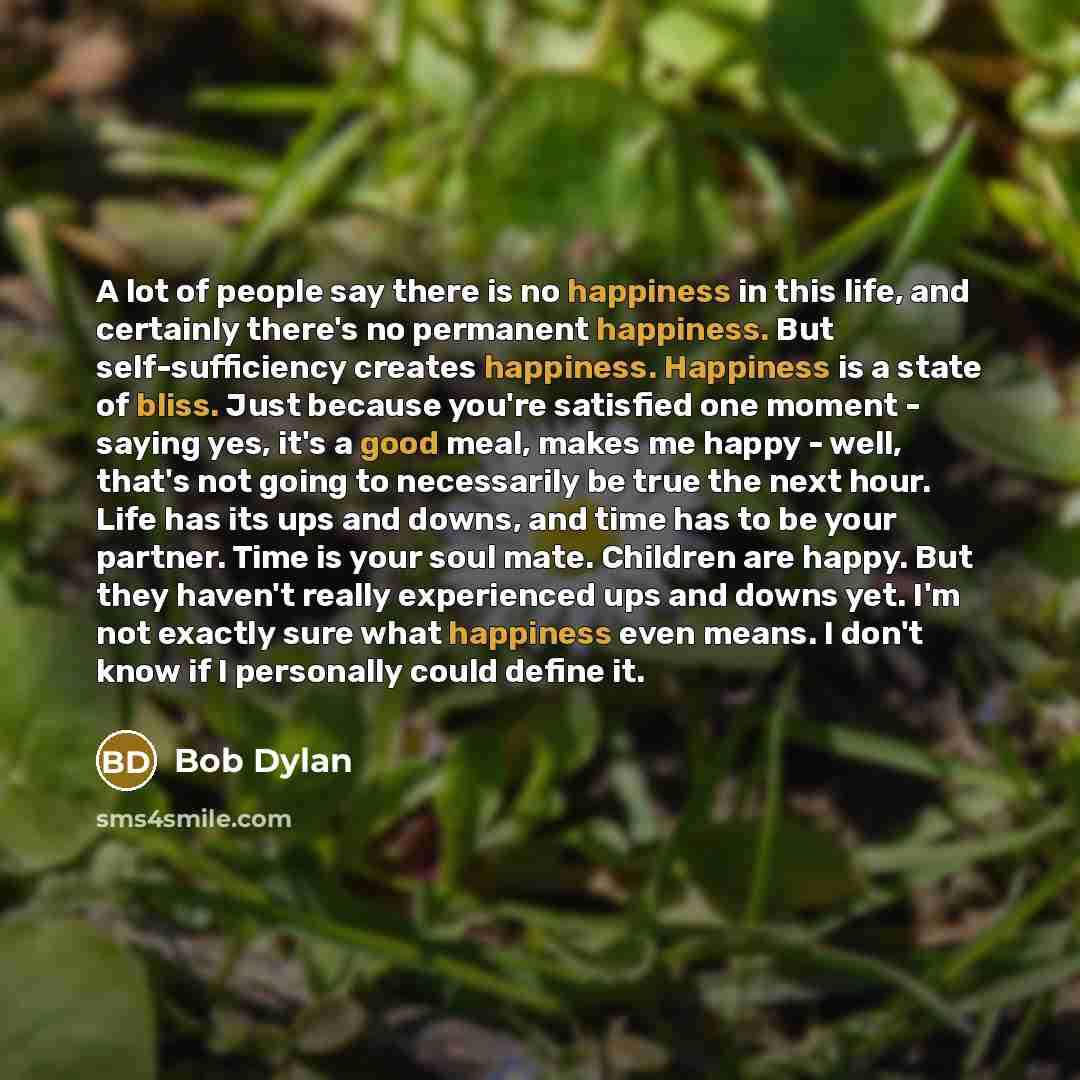 “A lot of people say there is no happiness in this life, and certainly there's no permanent happiness. But self-sufficiency creates happiness. Happiness is a state of bliss. Just because you're satisfied one moment - saying yes, it's a good meal, makes me happy - well, that's not going to…” quote by Bob Dylan