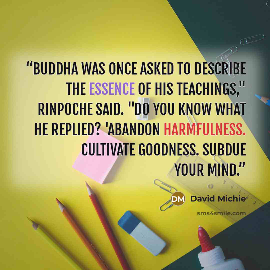 “Buddha was once asked to describe the essence of his teachings," Rinpoche said. "Do you know what he replied? 'Abandon harmfulness. Cultivate goodness. Subdue your mind.” quote by David Michie