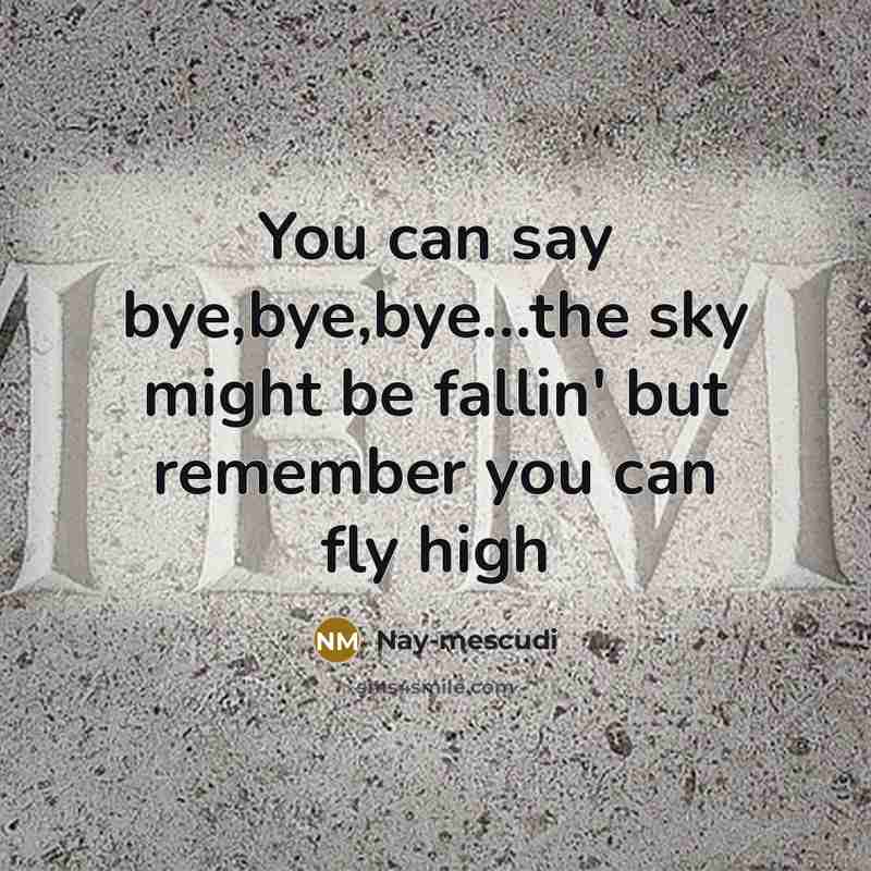 “You can say bye,bye,bye…the sky might be fallin' but remember you can fly high” quote by Nay-mescudi