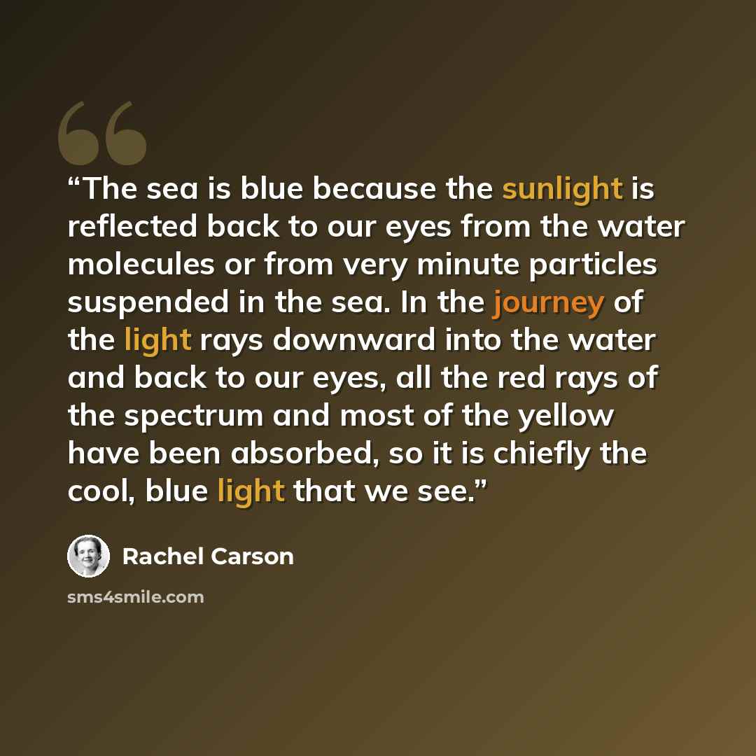 “The sea is blue because the sunlight is reflected back to our eyes from the water molecules or from very minute particles suspended in the sea. In the journey of the light rays downward into the water and back to our eyes, all the red rays of the spectrum and most of the yellow have been absorbed…” quote by Rachel Carson