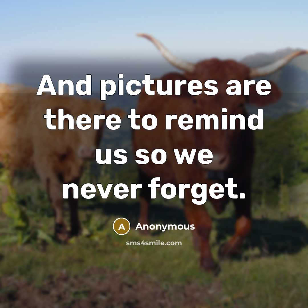 “And pictures are there to remind us so we never forget.” quote by Anonymous