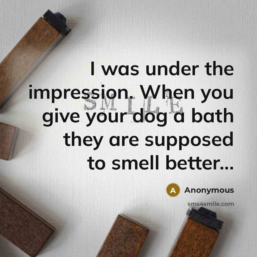 “I was under the impression. When you give your dog a bath they are supposed to smell better...” quote by Anonymous