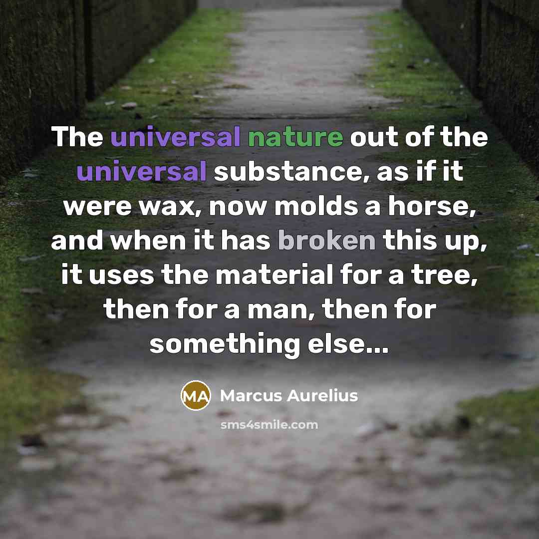 “The universal nature out of the universal substance, as if it were wax, now molds a horse, and when it has broken this up, it uses the material for a tree, then for a man, then for something else...” quote by Marcus Aurelius