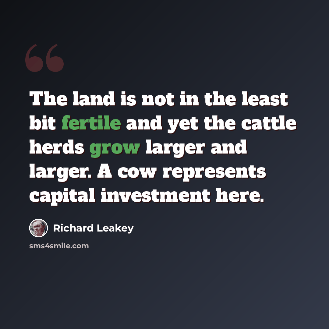 “The land is not in the least bit fertile and yet the cattle herds grow larger and larger. A cow represents capital investment here.” quote by Richard Leakey
