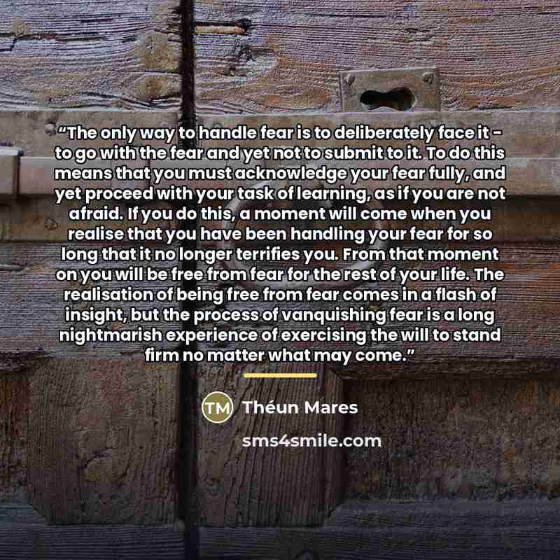 “The only way to handle fear is to deliberately face it - to go with the fear and yet not to submit to it. To do this means that you must acknowledge your fear fully, and yet proceed with your task of learning, as if you are not afraid. If you do this, a moment will come when you realise that you…” quote by Théun Mares
