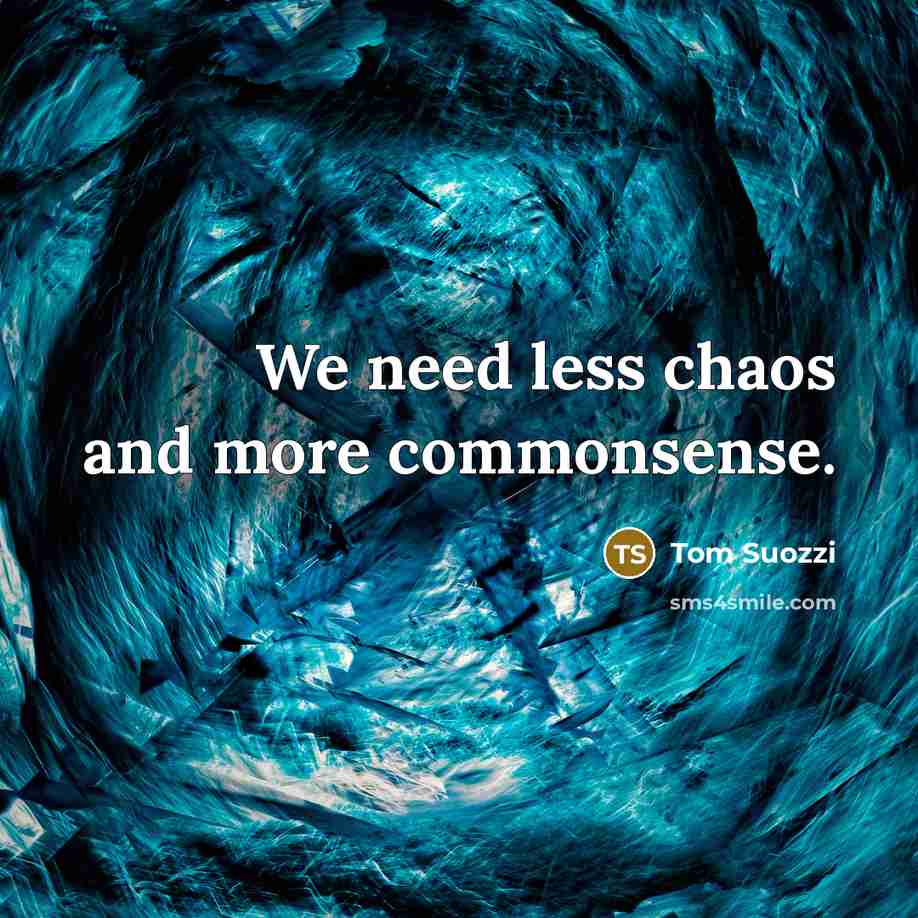 “We need less chaos and more commonsense.” quote by Tom Suozzi