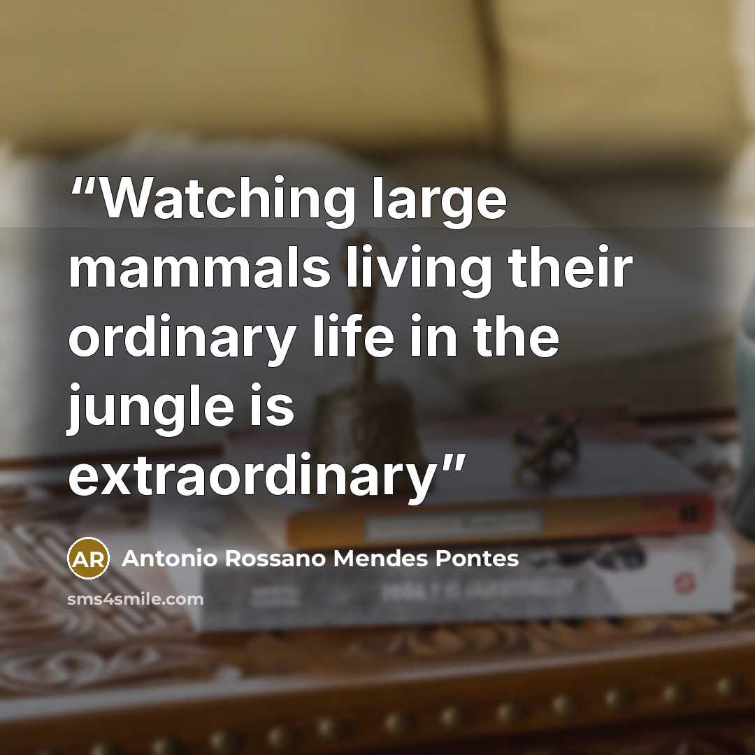 “Watching large mammals living their ordinary life in the jungle is extraordinary” quote by Antonio Rossano Mendes Pontes