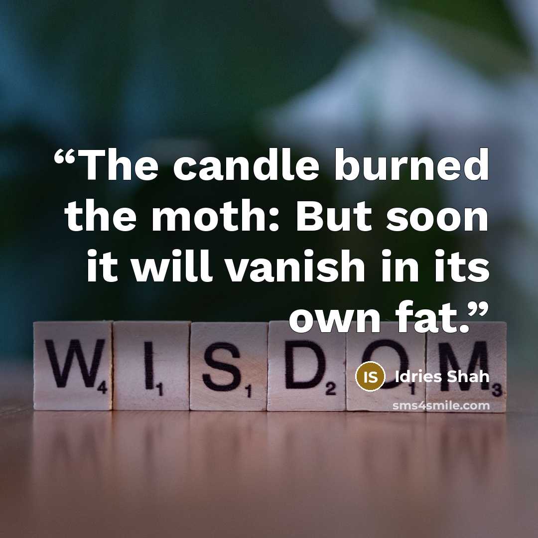 “The candle burned the moth: But soon it will vanish in its own fat.” quote by Idries Shah