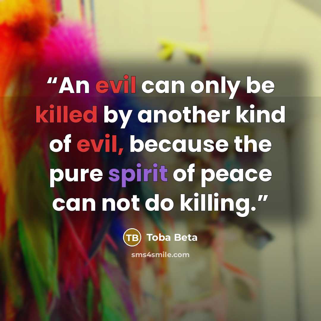 “An evil can only be killed by another kind of evil, because the pure spirit of peace can not do killing.” quote by Toba Beta