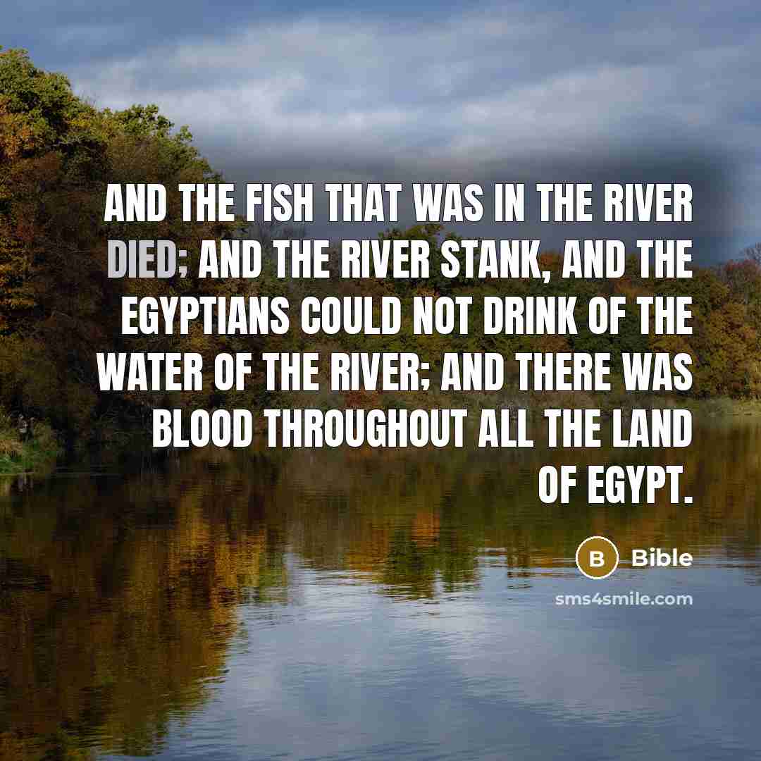 “And the fish that was in the river died; and the river stank, and the Egyptians could not drink of the water of the river; and there was blood throughout all the land of Egypt.” quote by Bible