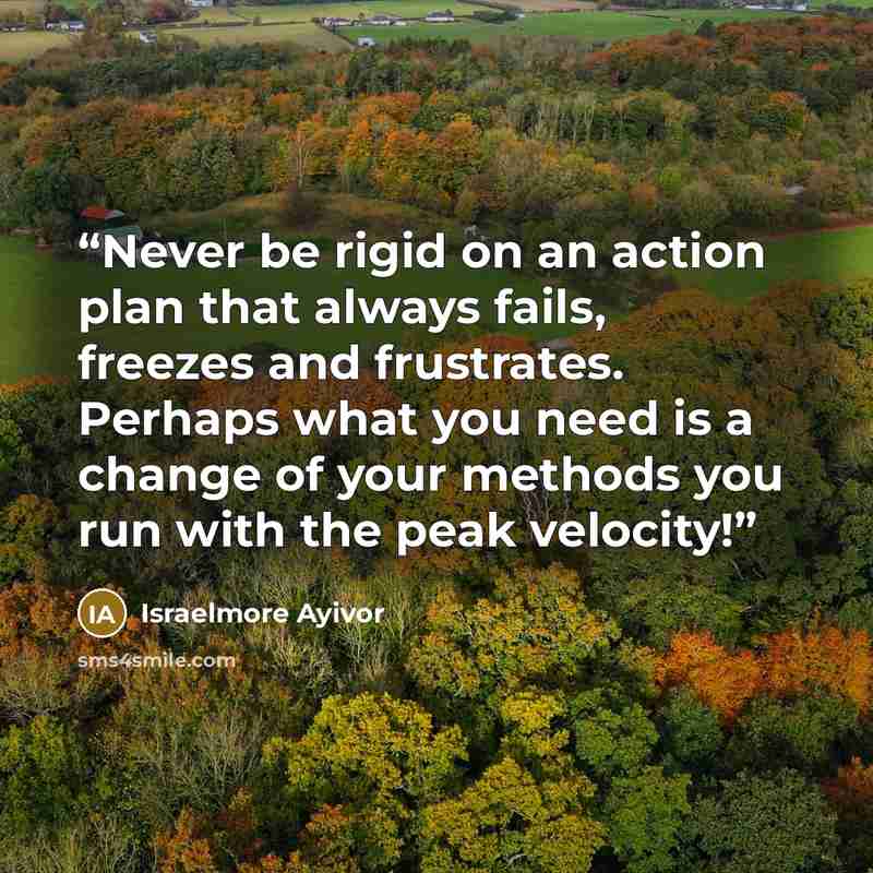 “Never be rigid on an action plan that always fails, freezes and frustrates. Perhaps what you need is a change of your methods you run with the peak velocity!” quote by Israelmore Ayivor