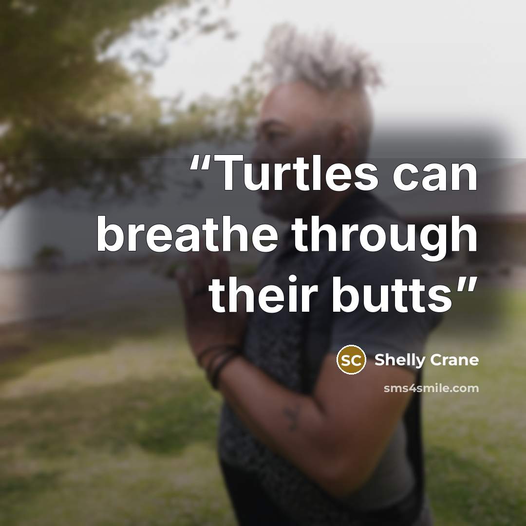 “Turtles can breathe through their butts” quote by Shelly Crane