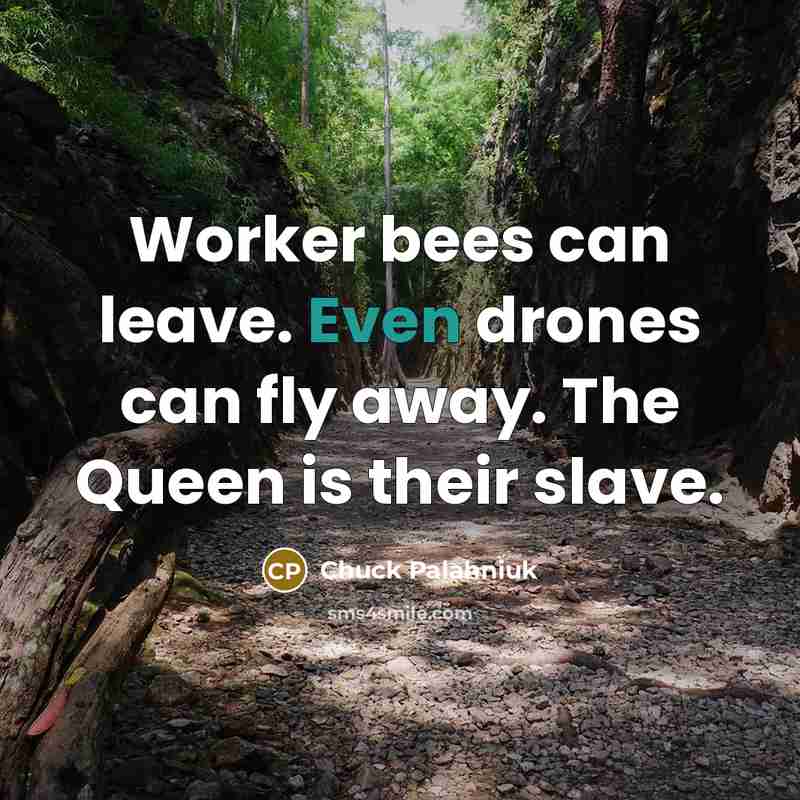 “Worker bees can leave. Even drones can fly away. The Queen is their slave.” quote by Chuck Palahniuk
