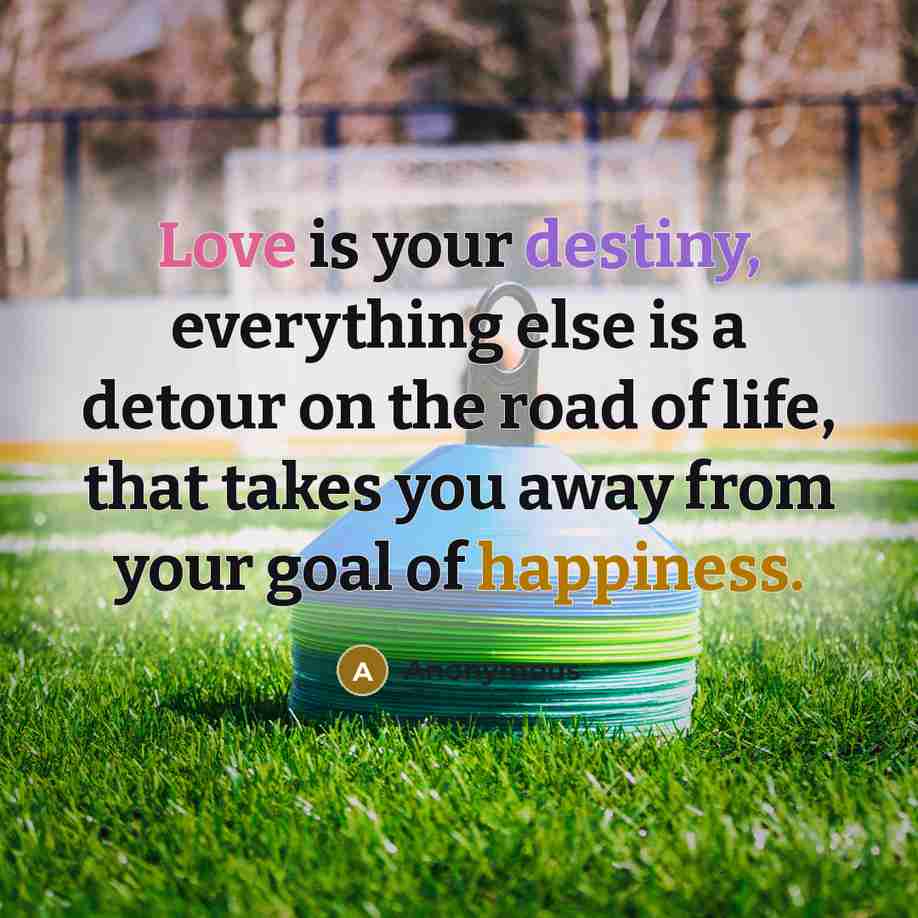 “Love is your destiny, everything else is a detour on the road of life, that takes you away from your goal of happiness.” quote by Anonymous
