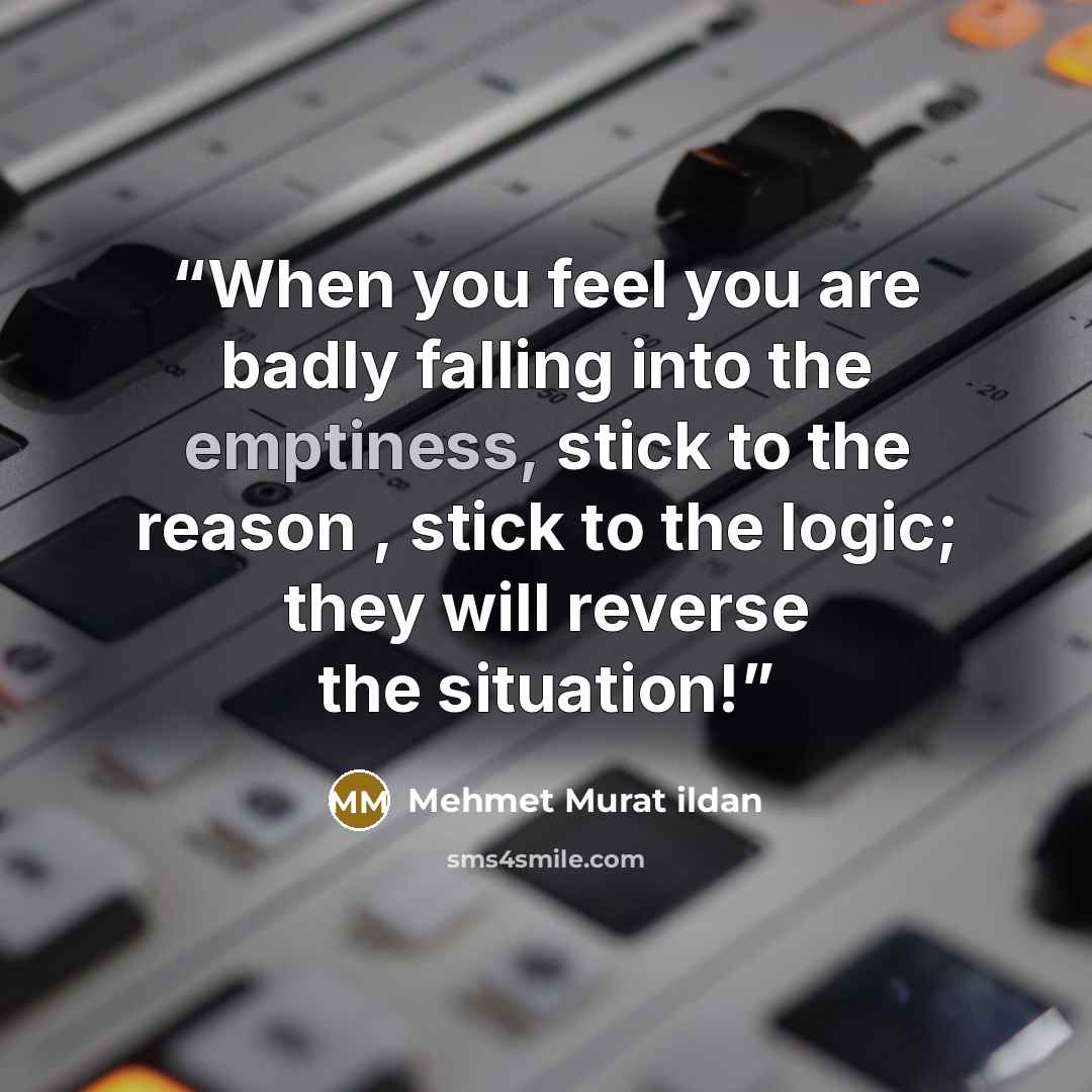 “When you feel you are badly falling into the emptiness, stick to the reason , stick to the logic; they will reverse the situation!” quote by Mehmet Murat ildan