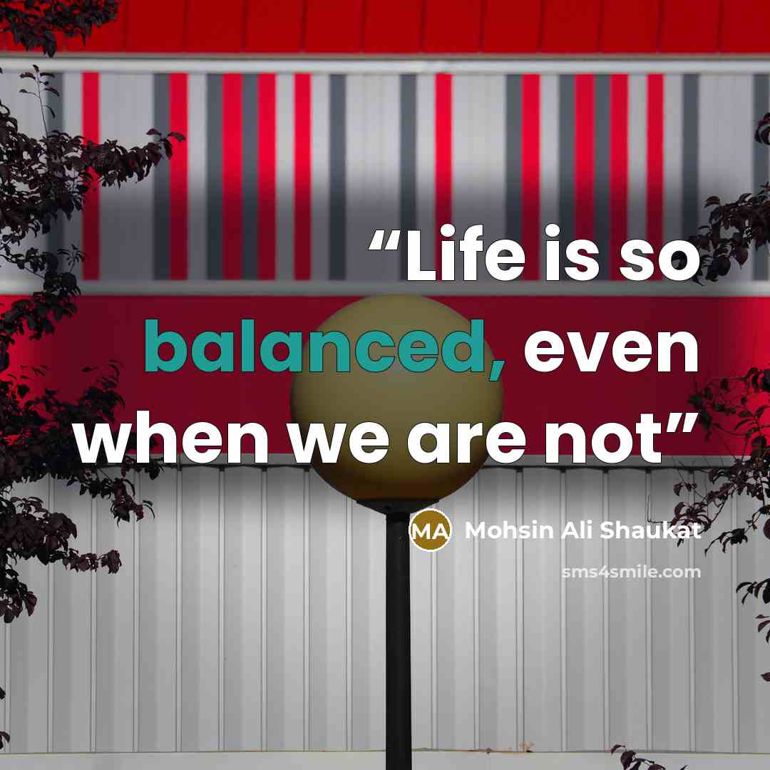 “Life is so balanced, even when we are not” quote by Mohsin Ali Shaukat