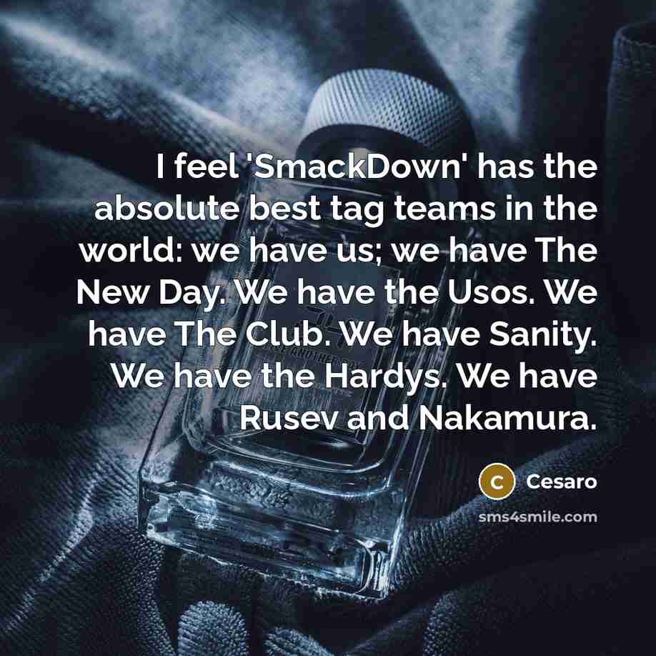 “I feel 'SmackDown' has the absolute best tag teams in the world: we have us; we have The New Day. We have the Usos. We have The Club. We have Sanity. We have the Hardys. We have Rusev and Nakamura.” quote by Cesaro