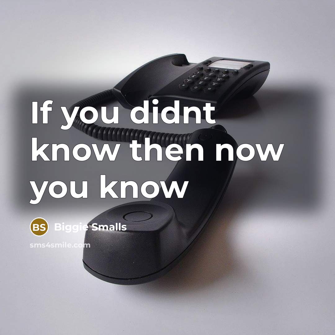 “If you didnt know then now you know” quote by Biggie Smalls