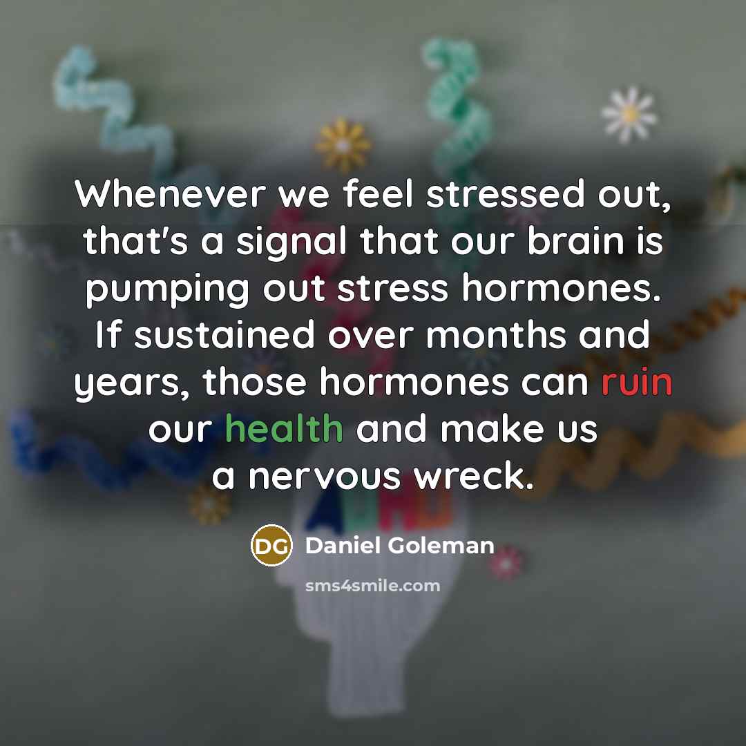 “Whenever we feel stressed out, that's a signal that our brain is pumping out stress hormones. If sustained over months and years, those hormones can ruin our health and make us a nervous wreck.” quote by Daniel Goleman