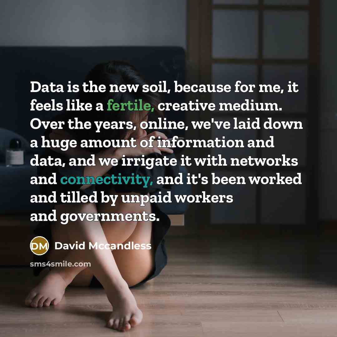 “Data is the new soil, because for me, it feels like a fertile, creative medium. Over the years, online, we've laid down a huge amount of information and data, and we irrigate it with networks and connectivity, and it's been worked and tilled by unpaid workers and governments.” quote by David Mccandless