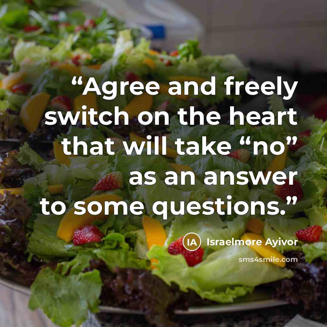 “Agree and freely switch on the heart that will take “no” as an answer to some questions.” quote by Israelmore Ayivor