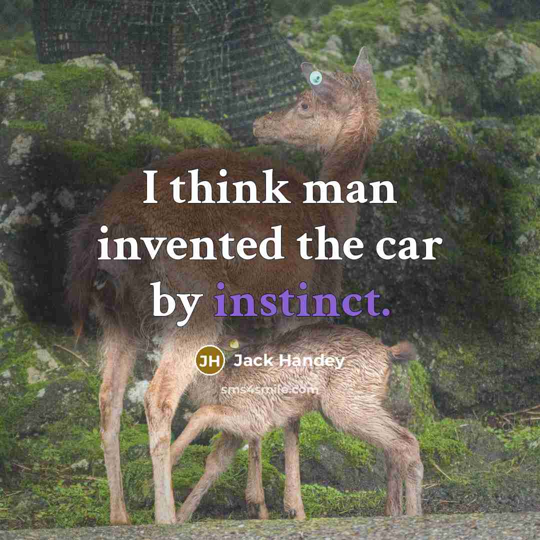 “I think man invented the car by instinct.” quote by Jack Handey