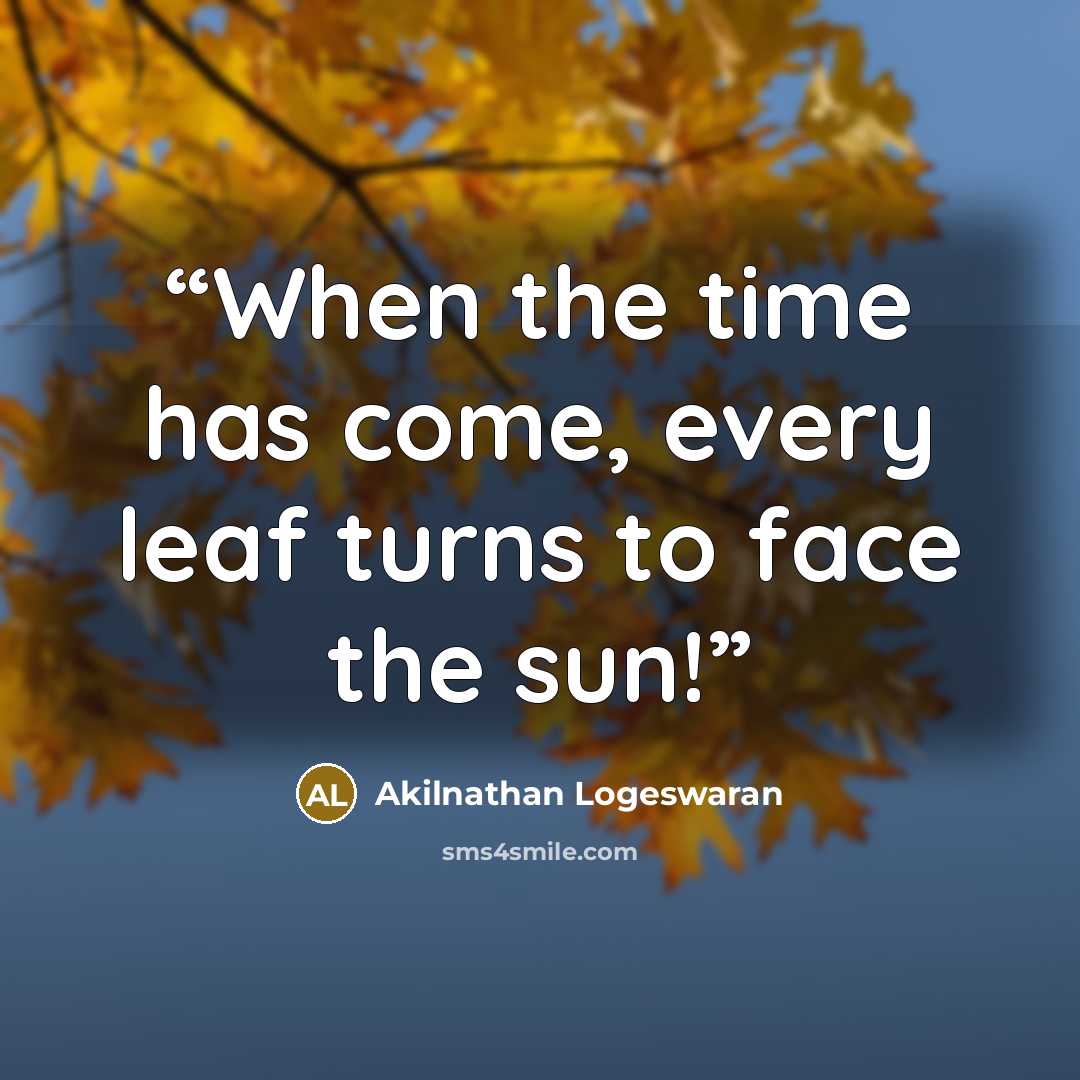 “When the time has come, every leaf turns to face the sun!” quote by Akilnathan Logeswaran