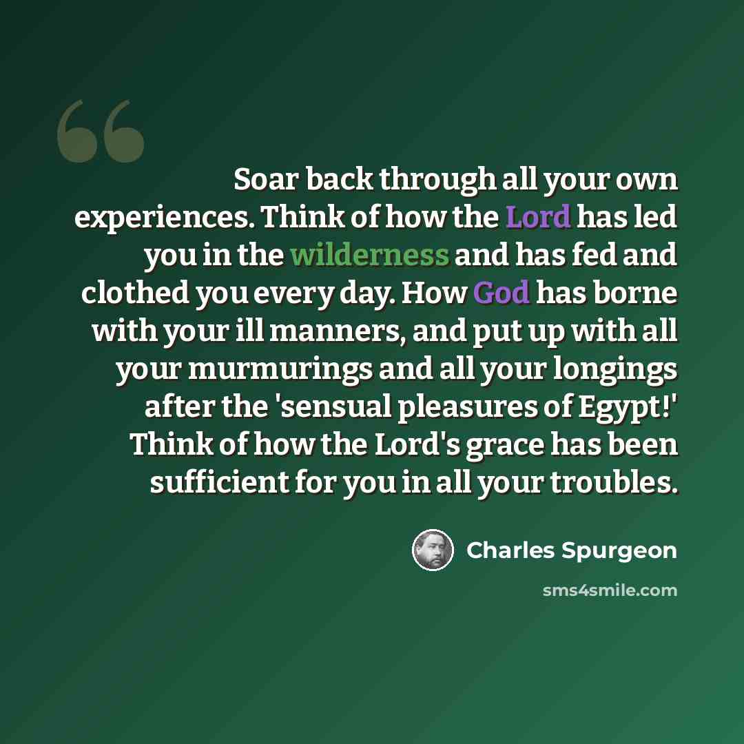 “Soar back through all your own experiences. Think of how the Lord has led you in the wilderness and has fed and clothed you every day. How God has borne with your ill manners, and put up with all your murmurings and all your longings after the 'sensual pleasures of Egypt!' Think of how the Lord's…” quote by Charles Spurgeon