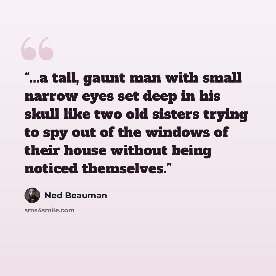 “...a tall, gaunt man with small narrow eyes set deep in his skull like two old sisters trying to spy out of the windows of their house without being noticed themselves.” quote by Ned Beauman
