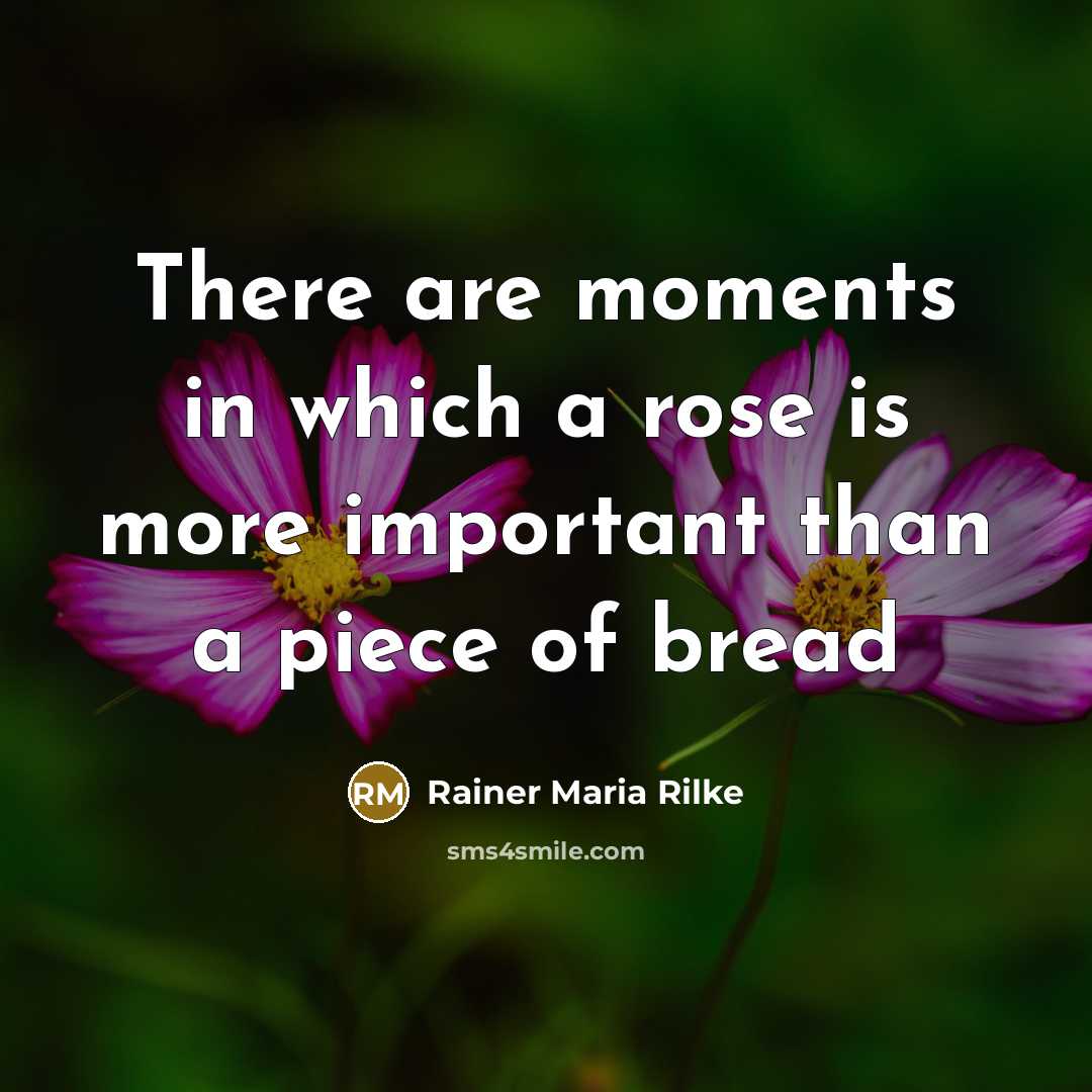 “There are moments in which a rose is more important than a piece of bread” quote by Rainer Maria Rilke