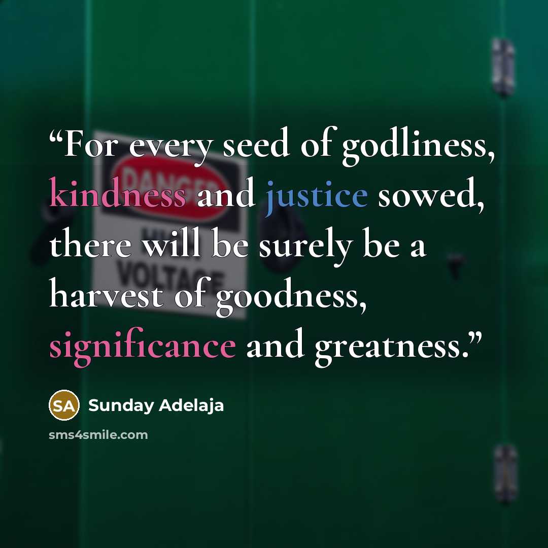 “For every seed of godliness, kindness and justice sowed, there will be surely be a harvest of goodness, significance and greatness.” quote by Sunday Adelaja