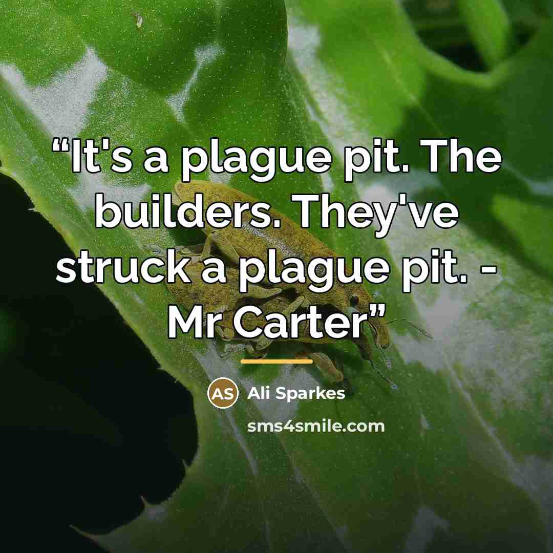 “It's a plague pit. The builders. They've struck a plague pit. - Mr Carter” quote by Ali Sparkes