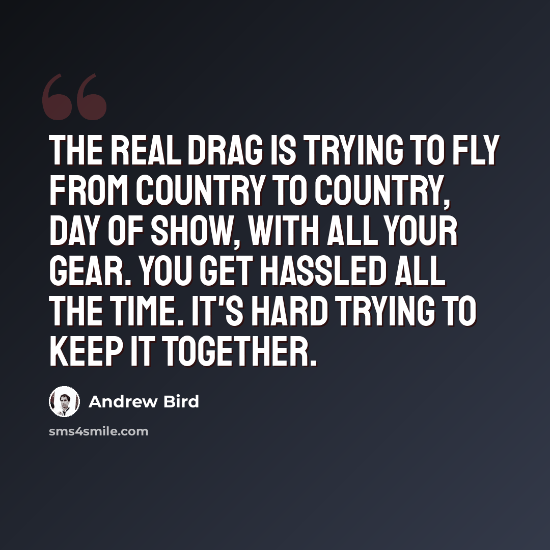 “The real drag is trying to fly from country to country, day of show, with all your gear. You get hassled all the time. It's hard trying to keep it together.” quote by Andrew Bird