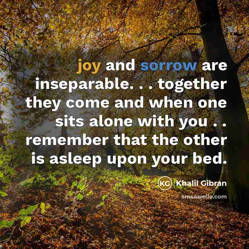 “joy and sorrow are inseparable. . . together they come and when one sits alone with you . . remember that the other is asleep upon your bed.” quote by Khalil Gibran