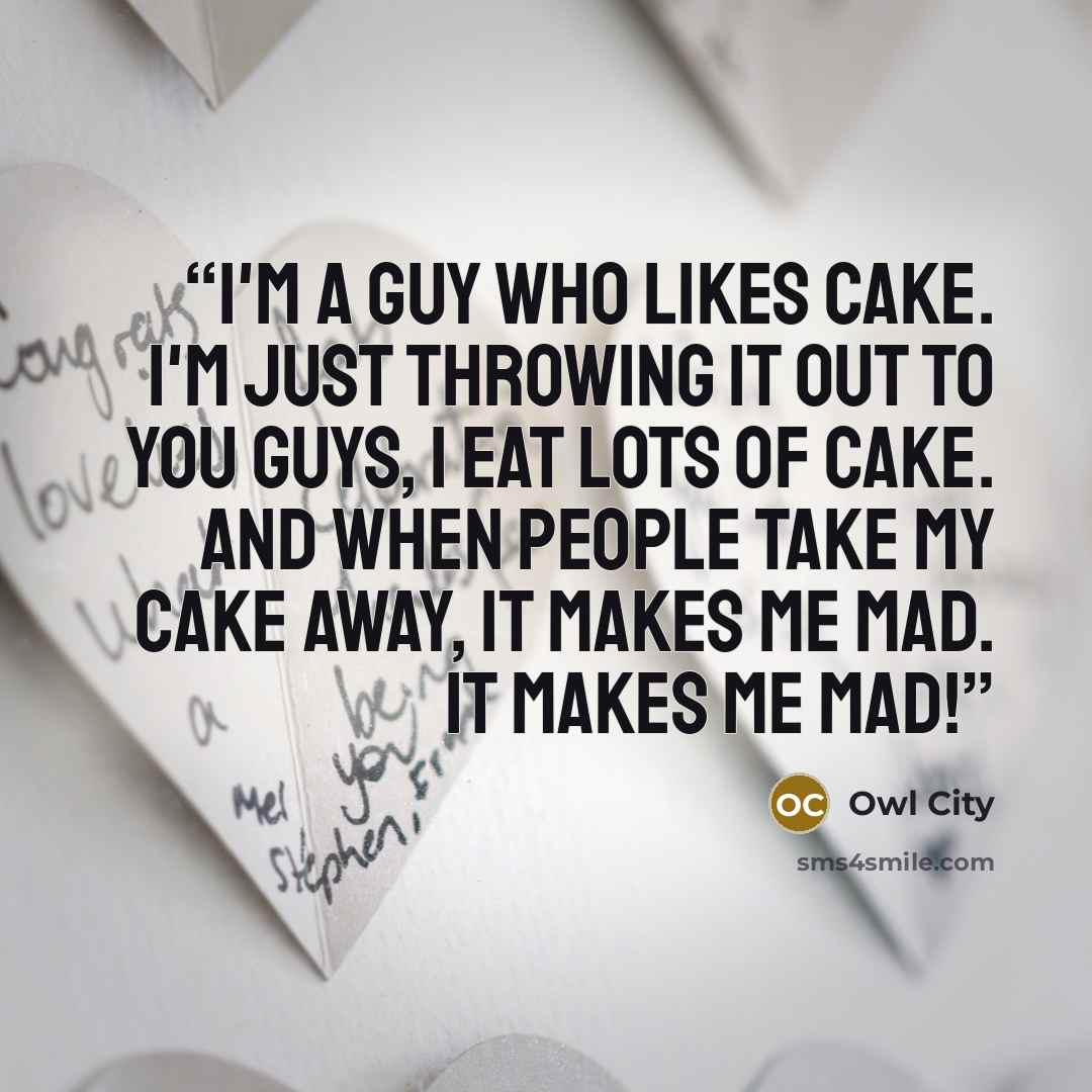 “I'm a guy who likes cake. I'm just throwing it out to you guys, I eat lots of cake. And when people take my cake away, it makes me mad. It makes me mad!” quote by Owl City