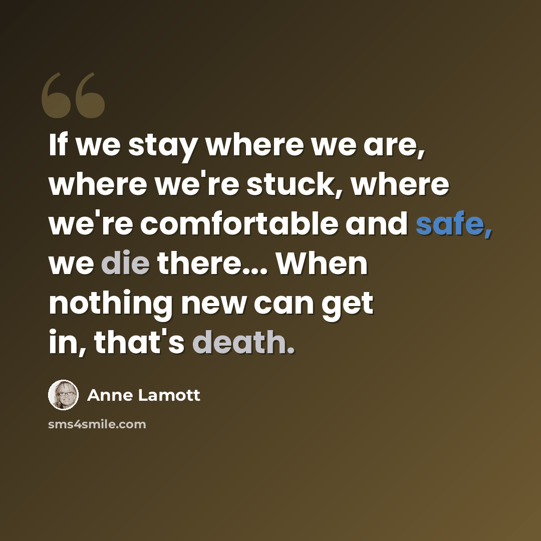 “If we stay where we are, where we're stuck, where we're comfortable and safe, we die there... When nothing new can get in, that's death.” quote by Anne Lamott