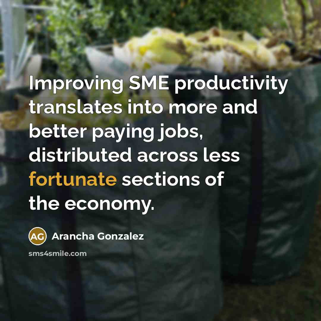 “Improving SME productivity translates into more and better paying jobs, distributed across less fortunate sections of the economy.” quote by Arancha Gonzalez