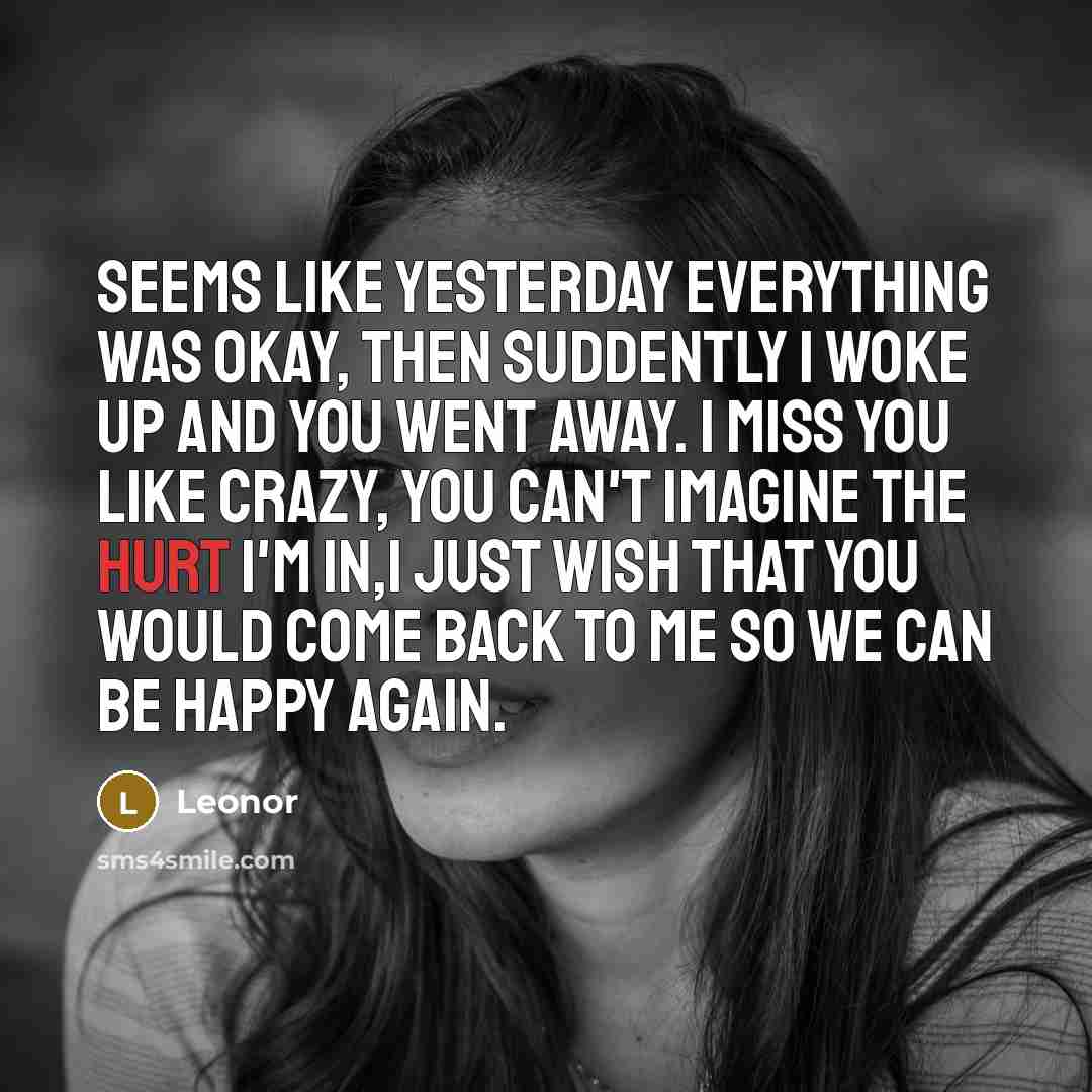 “Seems like yesterday everything was okay, then suddently I woke up and you went away. I miss you like crazy, you can't imagine the hurt I'm in,i just wish that you would come back to me so we can be happy again.” quote by Leonor