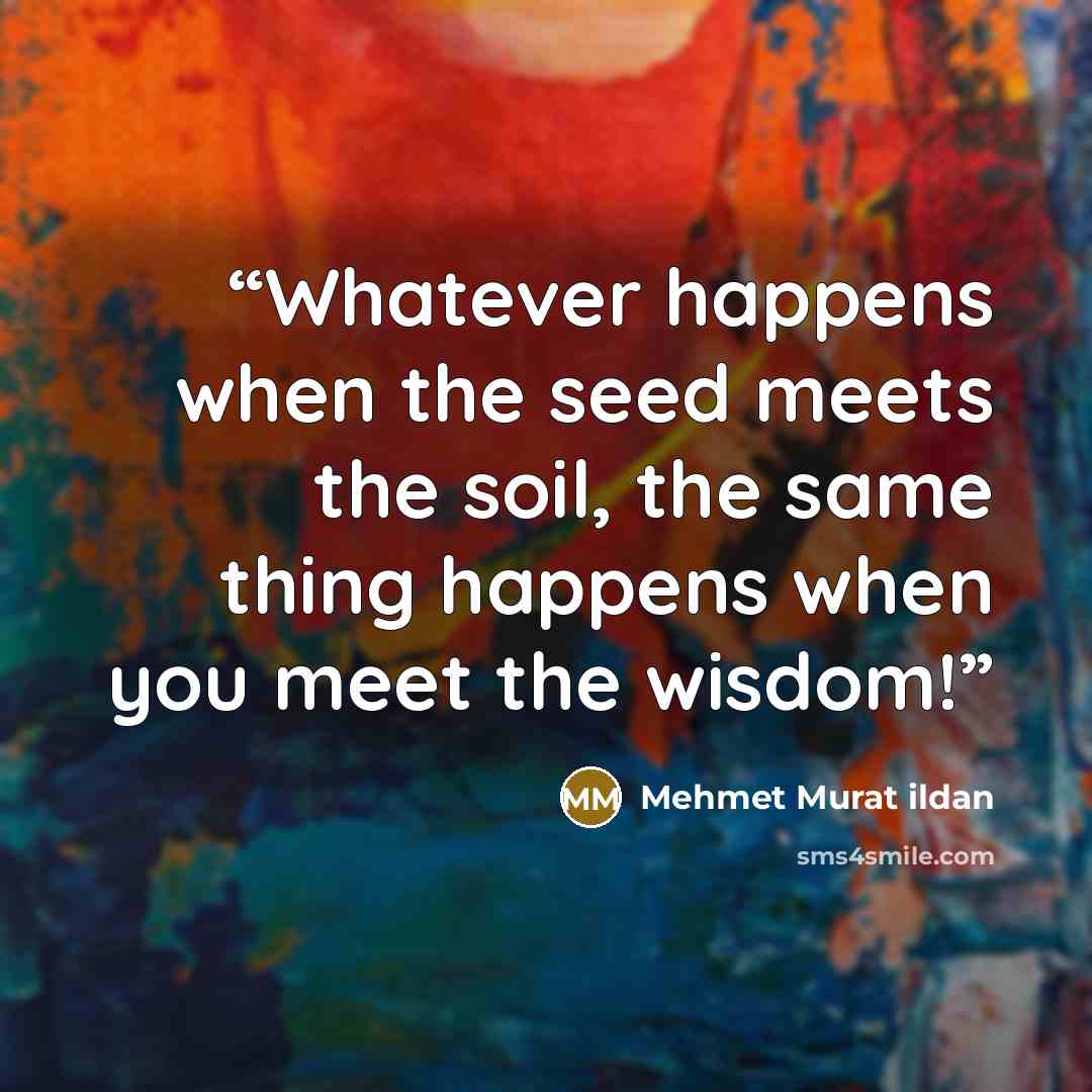 “Whatever happens when the seed meets the soil, the same thing happens when you meet the wisdom!” quote by Mehmet Murat ildan