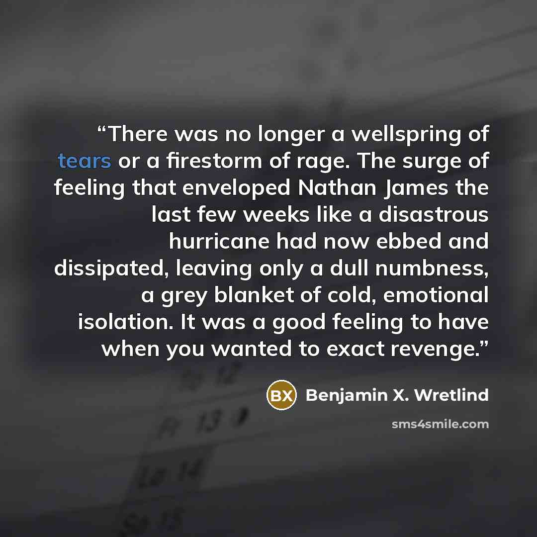 “There was no longer a wellspring of tears or a firestorm of rage. The surge of feeling that enveloped Nathan James the last few weeks like a disastrous hurricane had now ebbed and dissipated, leaving only a dull numbness, a grey blanket of cold, emotional isolation. It was a good feeling to have…” quote by Benjamin X. Wretlind