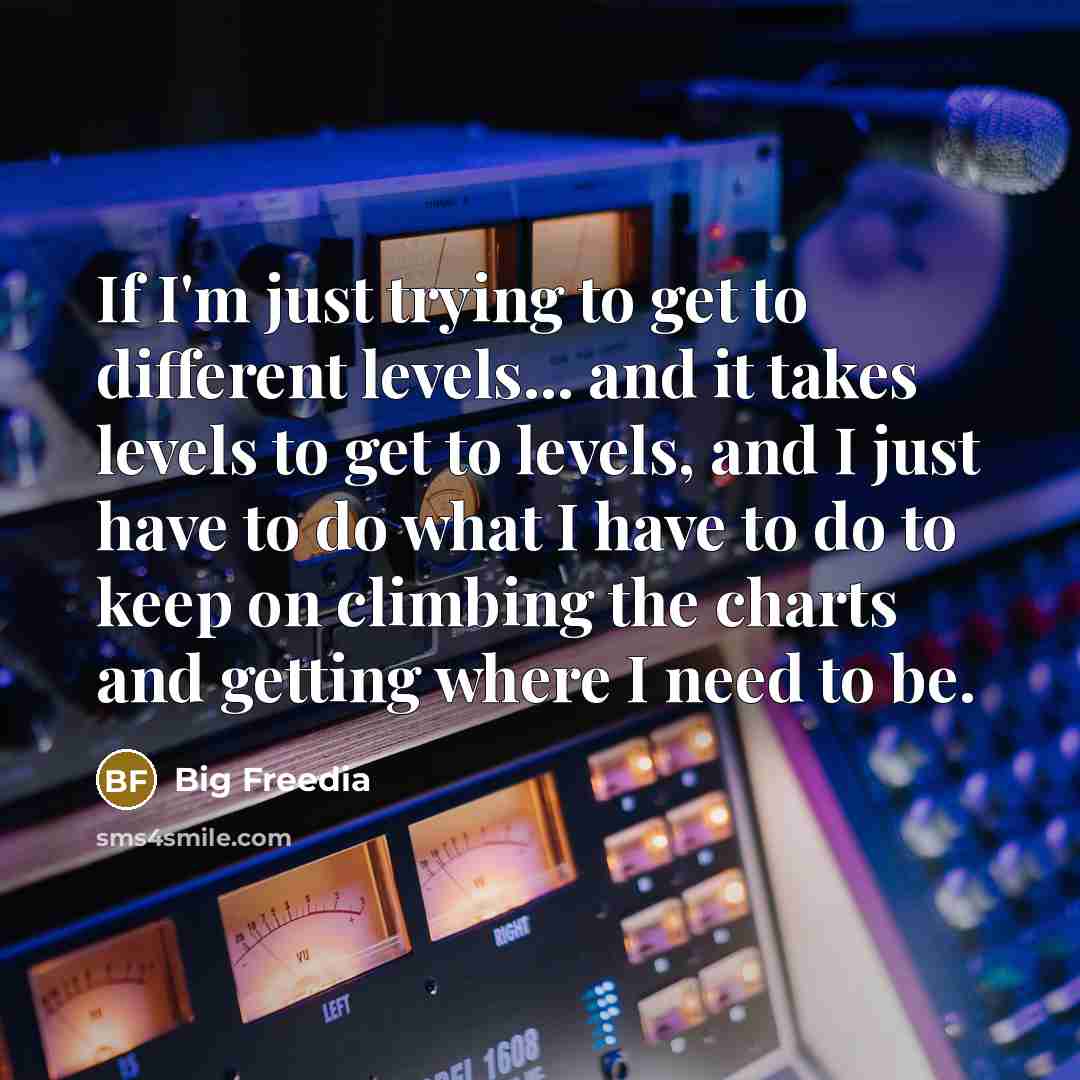 “If I'm just trying to get to different levels... and it takes levels to get to levels, and I just have to do what I have to do to keep on climbing the charts and getting where I need to be.” quote by Big Freedia