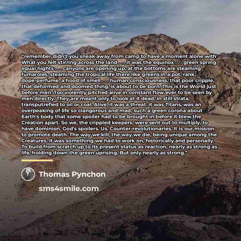 “remember didn't you sneak away from camp to have a moment alone with What you felt stirring across the land . . . it was the equinox . . . green spring equal nights . . . canyons are opening up, at the bottoms are steaming fumaroles, steaming the tropical life there like greens in a pot, rank…” quote by Thomas Pynchon
