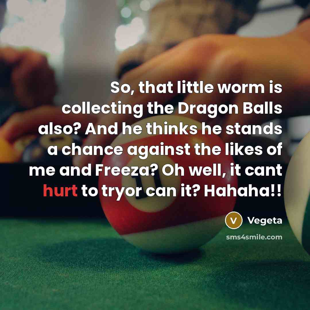 “So, that little worm is collecting the Dragon Balls also? And he thinks he stands a chance against the likes of me and Freeza? Oh well, it cant hurt to tryor can it? Hahaha!!” quote by Vegeta