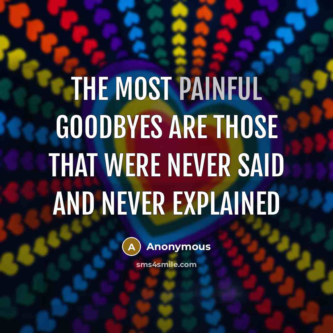 “The most painful goodbyes are those that were never said and never explained” quote by Anonymous
