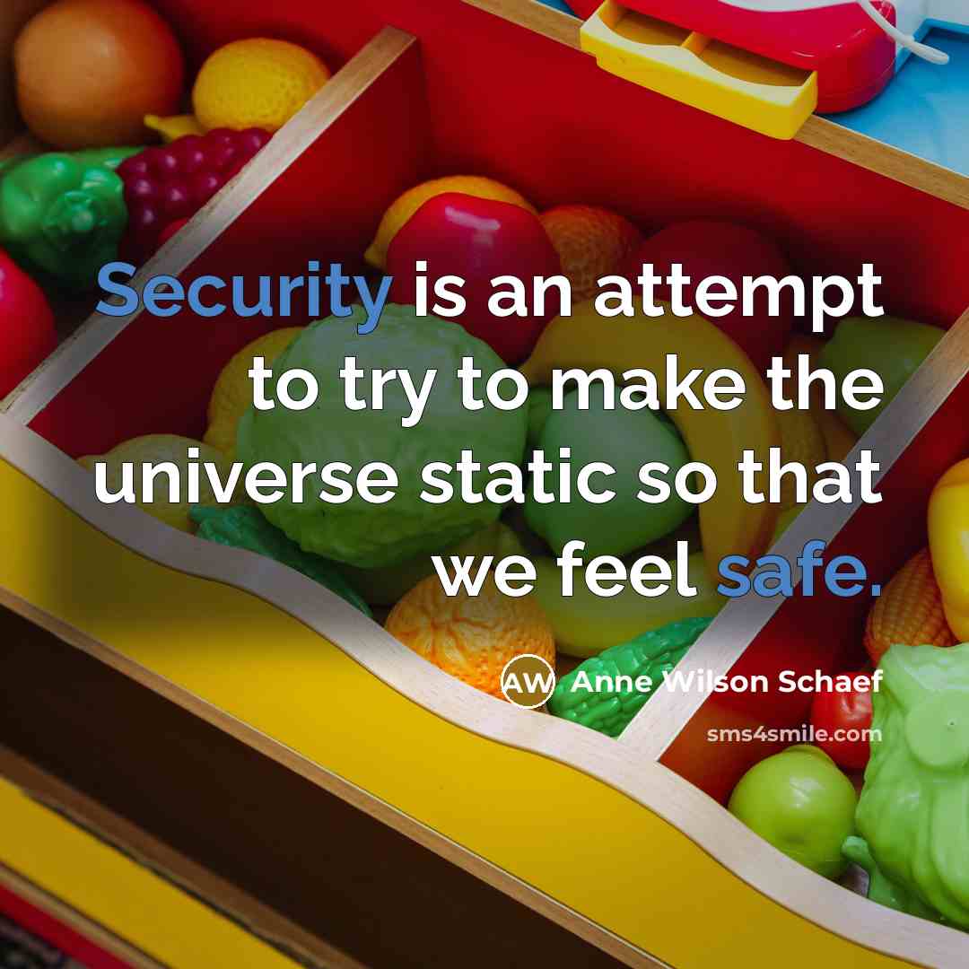 “Security is an attempt to try to make the universe static so that we feel safe.” quote by Anne Wilson Schaef
