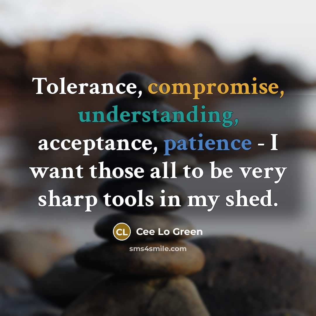 “Tolerance, compromise, understanding, acceptance, patience - I want those all to be very sharp tools in my shed.” quote by Cee Lo Green