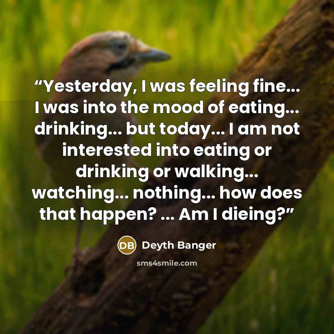 “Yesterday, I was feeling fine... I was into the mood of eating... drinking... but today... I am not interested into eating or drinking or walking... watching... nothing... how does that happen? ... Am I dieing?” quote by Deyth Banger