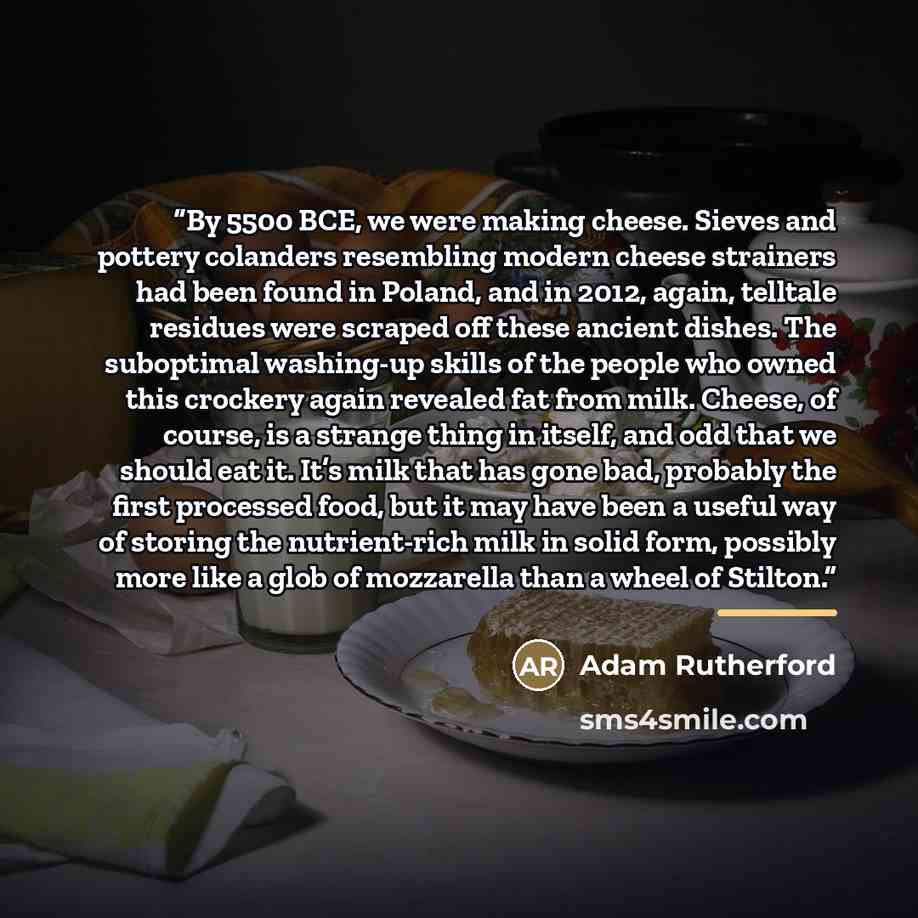“By 5500 BCE, we were making cheese. Sieves and pottery colanders resembling modern cheese strainers had been found in Poland, and in 2012, again, telltale residues were scraped off these ancient dishes. The suboptimal washing-up skills of the people who owned this crockery again revealed fat from…” quote by Adam Rutherford
