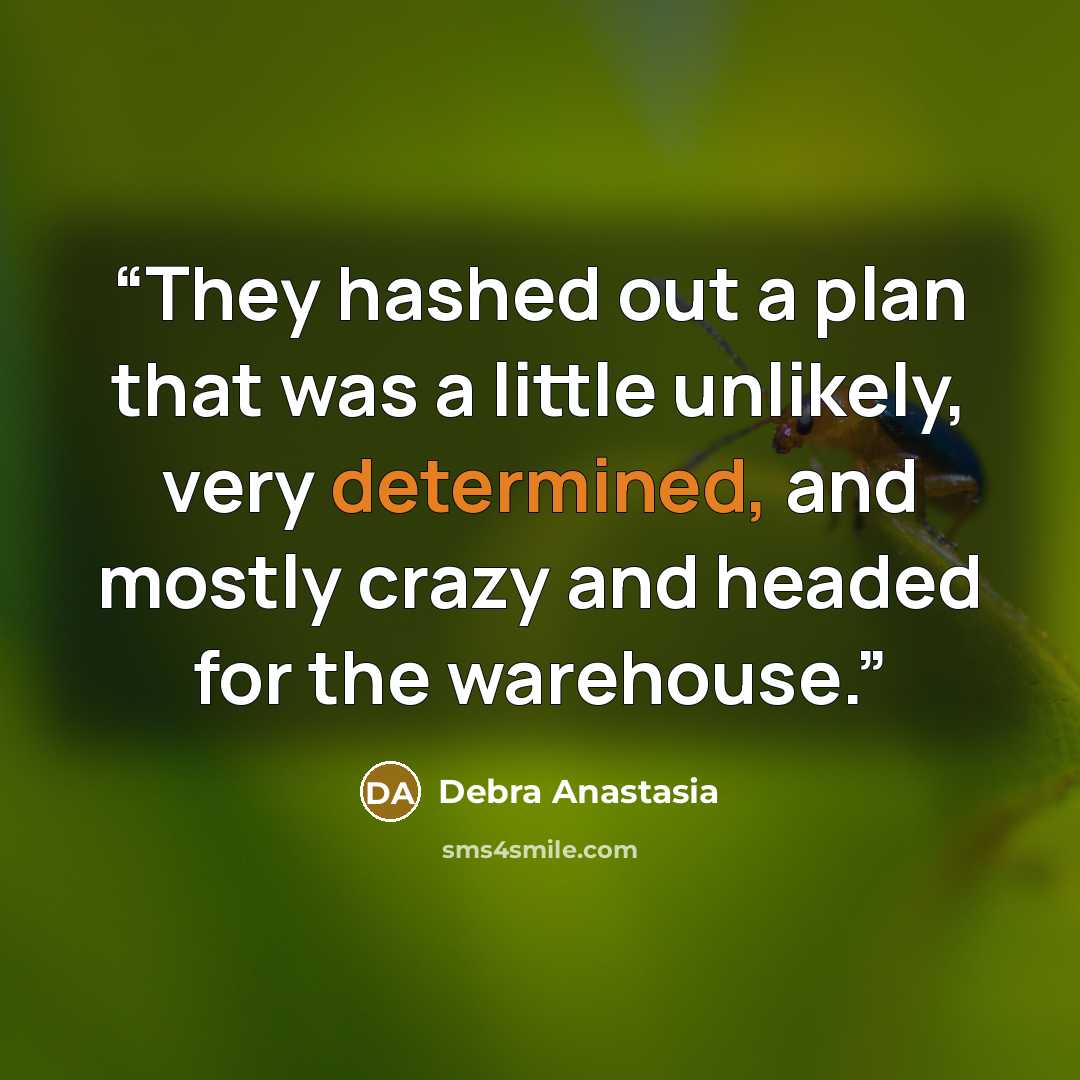 “They hashed out a plan that was a little unlikely, very determined, and mostly crazy and headed for the warehouse.” quote by Debra Anastasia