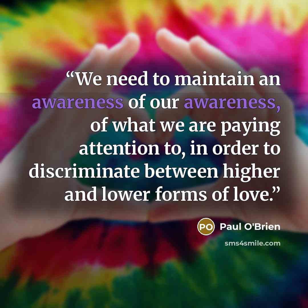 “We need to maintain an awareness of our awareness, of what we are paying attention to, in order to discriminate between higher and lower forms of love.” quote by Paul O'Brien